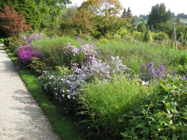 Staudengarten